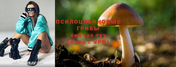 прущий лед Касимов