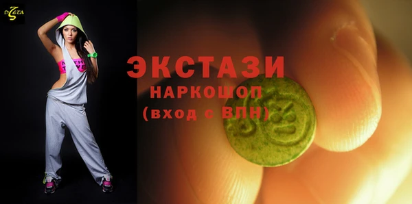 гидра Каменка
