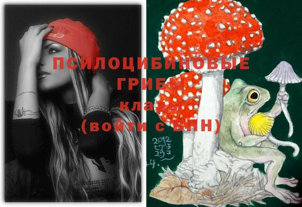 спайс Карталы